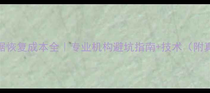 图片 📢FBI级数据恢复成本全｜专业机构避坑指南+技术（附真实案例）1