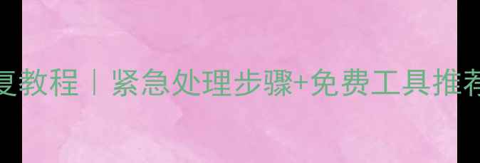 图片 📢U盘损坏数据恢复教程｜紧急处理步骤+免费工具推荐（附避坑指南）1