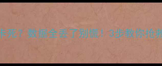 U盘插入电脑直接卡死数据全丢了别慌3步教你抢救救命文件