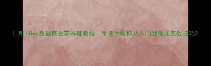 WinHex数据恢复零基础教程手把手教你从入门到精通实战技巧
