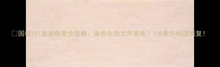 国税201数据恢复全攻略备份失败文件丢失3步教你快速恢复