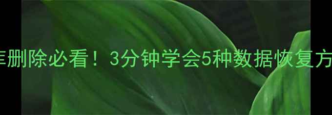 数据库删除必看3分钟学会5种数据恢复方法