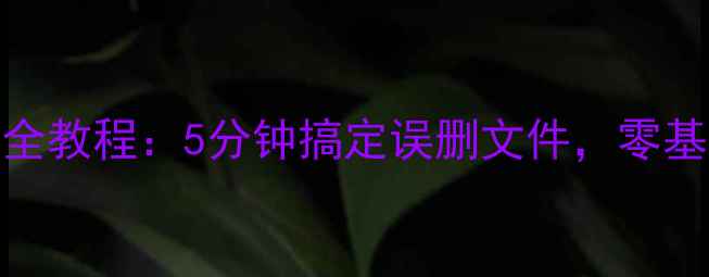 图片 📥U盘数据恢复全教程：5分钟搞定误删文件，零基础也能学会！1