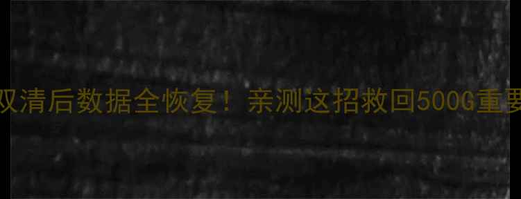 OPPO双清后数据全恢复亲测这招救回500G重要资料
