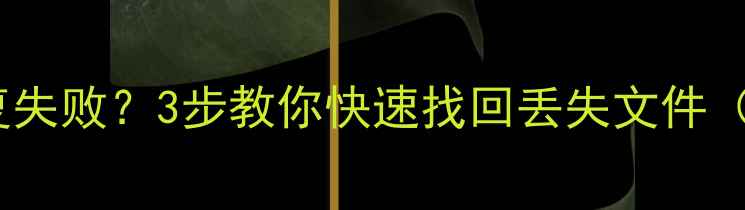 图片 📱iPad数据恢复失败？3步教你快速找回丢失文件（附详细教程）2
