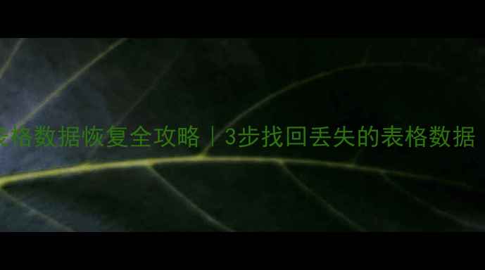 图片 📱iPhoneExcel表格数据恢复全攻略｜3步找回丢失的表格数据（附免费工具）2