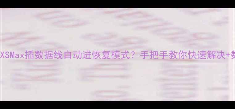 iPhoneXSMax插数据线自动进恢复模式手把手教你快速解决数据恢复