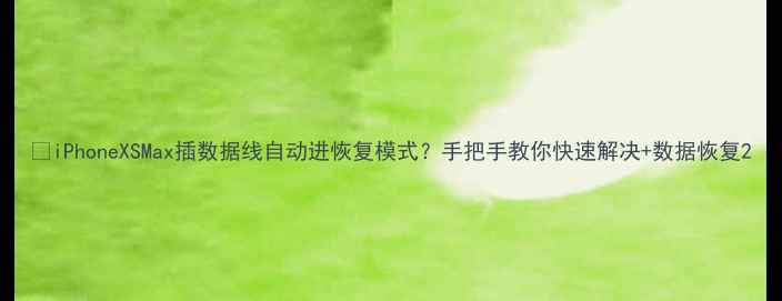 图片 📱iPhoneXSMax插数据线自动进恢复模式？手把手教你快速解决+数据恢复2