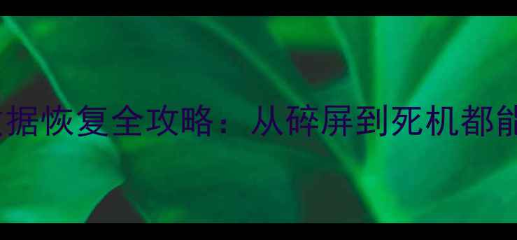 iPhone损毁后数据恢复全攻略从碎屏到死机都能救回重要文件