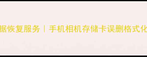 图片 📱专业内存卡数据恢复服务｜手机相机存储卡误删格式化损坏恢复教程💾