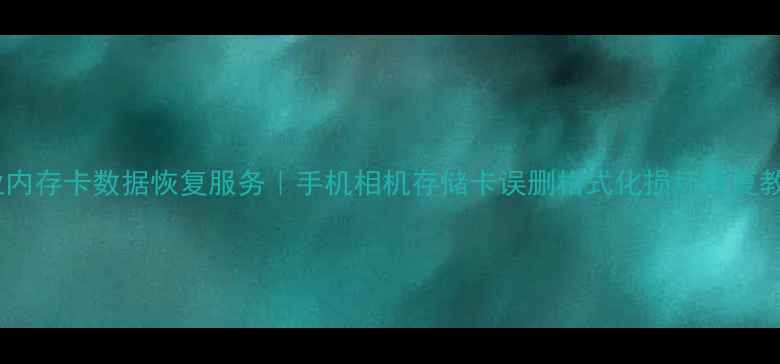 专业内存卡数据恢复服务手机相机存储卡误删格式化损坏恢复教程