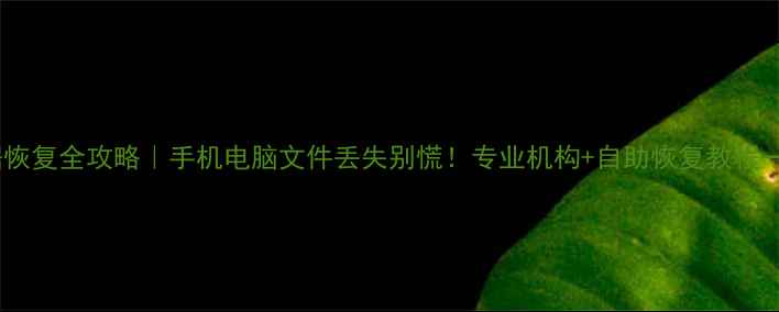 图片 📱合肥数据恢复全攻略｜手机电脑文件丢失别慌！专业机构+自助恢复教程一篇搞定🔥1