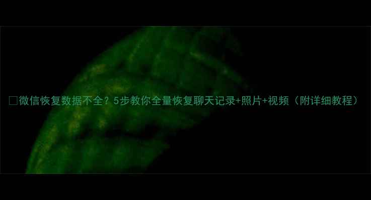 图片 📱微信恢复数据不全？5步教你全量恢复聊天记录+照片+视频（附详细教程）