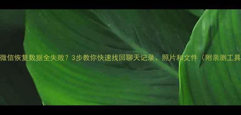 微信恢复数据全失败3步教你快速找回聊天记录照片和文件附亲测工具