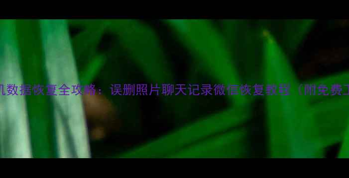 图片 📱手机数据恢复全攻略：误删照片聊天记录微信恢复教程（附免费工具）