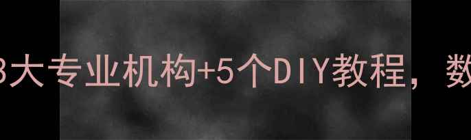 手机数据恢复必看3大专业机构5个DIY教程数据不丢的终极指南