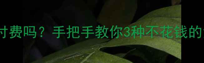 图片 📱手机数据恢复要付费吗？手把手教你3种不花钱的免费恢复攻略！💰2