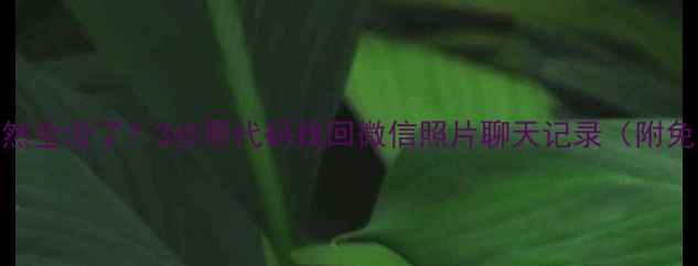 手机数据突然全没了3步用代码找回微信照片聊天记录附免费工具清单