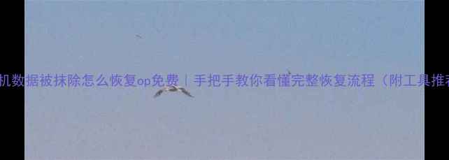 图片 📱手机数据被抹除怎么恢复op免费｜手把手教你看懂完整恢复流程（附工具推荐）1