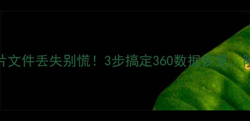 手机照片文件丢失别慌3步搞定360数据恢复附免费教程