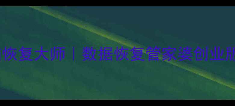 图片 📱手机电脑恢复大师｜数据恢复管家婆创业版实战指南2