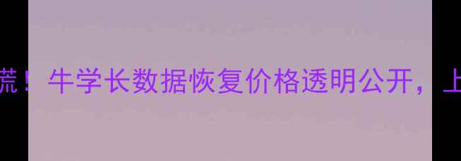 手机电脑文件丢失别慌牛学长数据恢复价格透明公开上海本地24小时上门服务