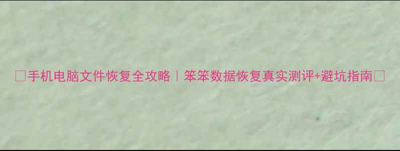 图片 📱手机电脑文件恢复全攻略｜笨笨数据恢复真实测评+避坑指南🔧