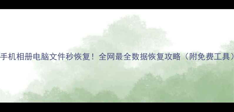 图片 📱手机相册电脑文件秒恢复！全网最全数据恢复攻略（附免费工具）2