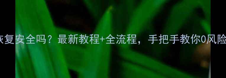 图片 📱手机精灵数据恢复安全吗？最新教程+全流程，手把手教你0风险恢复微信照片！1