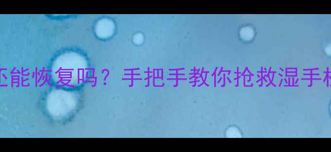 手机进水数据还能恢复吗手把手教你抢救湿手机里的照片视频