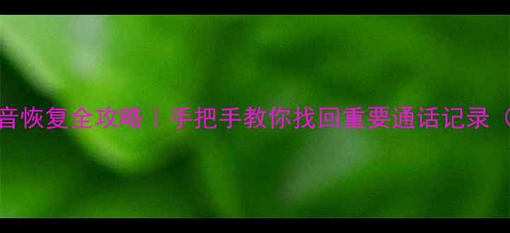 手机通话录音恢复全攻略手把手教你找回重要通话记录附免费工具