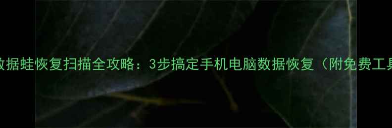 图片 📱数据蛙恢复扫描全攻略：3步搞定手机电脑数据恢复（附免费工具）