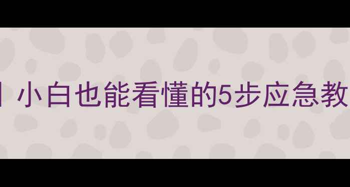 苹果变砖了恢复数据小白也能看懂的5步应急教程附免费工具推荐