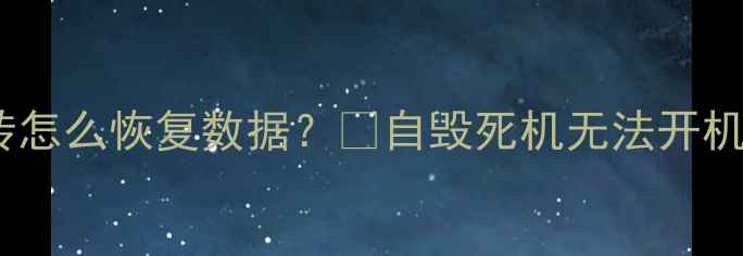图片 📱苹果手机变砖怎么恢复数据？🔥自毁死机无法开机全攻略！💻📱1