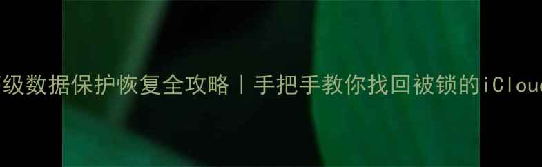 图片 📱苹果高级数据保护恢复全攻略｜手把手教你找回被锁的iCloud数据🔒2