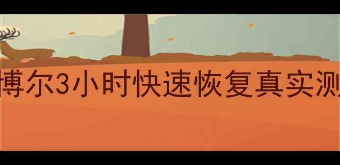 数据恢复时间表大公开博尔3小时快速恢复真实测评拯救手机电脑文件全攻略