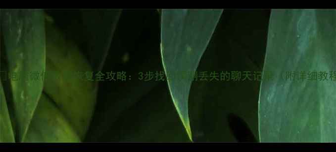 图片 📱💻电脑微信数据恢复全攻略：3步找回误删丢失的聊天记录（附详细教程）