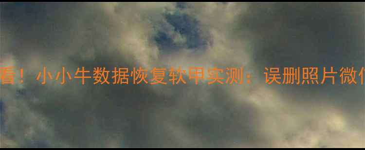 电脑文件恢复必看小小牛数据恢复软甲实测误删照片微信记录10秒秒回血