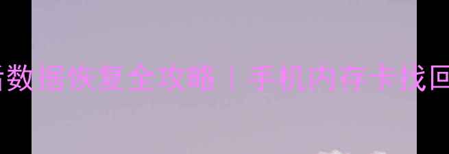 图片 📱💾SD卡格式化后数据恢复全攻略｜手机内存卡找回重要文件的方法1