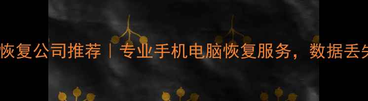 图片 📱💾吉首数据恢复公司推荐｜专业手机电脑恢复服务，数据丢失别慌张！🔥1