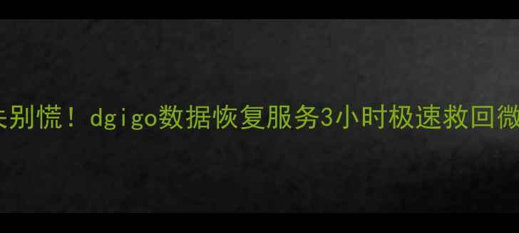 图片 📱💾手机电脑数据丢失别慌！dgigo数据恢复服务3小时极速救回微信聊天照片工作文档2