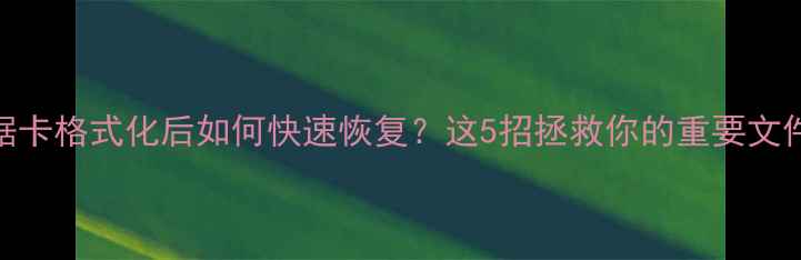 图片 📱💾数据卡格式化后如何快速恢复？这5招拯救你的重要文件！💻🔧