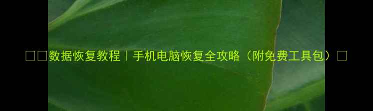 图片 📱💾数据恢复教程｜手机电脑恢复全攻略（附免费工具包）🚀