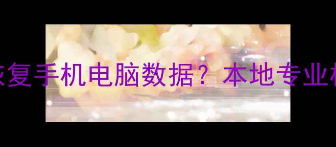 图片 📱💾濮阳哪里能快速恢复手机电脑数据？本地专业机构推荐+避坑指南！1