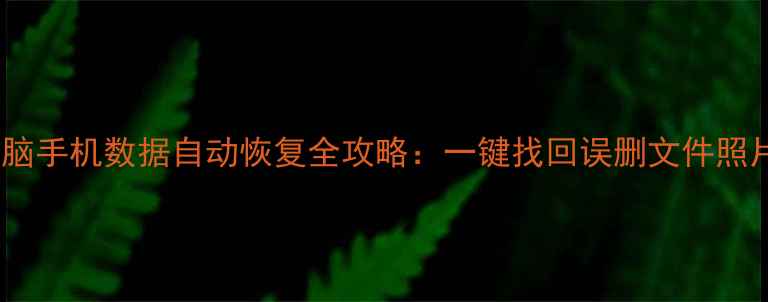 电脑手机数据自动恢复全攻略一键找回误删文件照片
