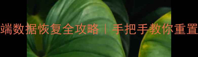TD-LTE无线数据终端数据恢复全攻略手把手教你重置设备找回丢失数据
