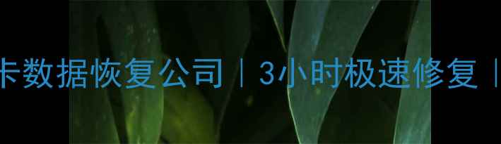 图片 📸合肥专业相机卡数据恢复公司｜3小时极速修复｜支持所有品牌🔥
