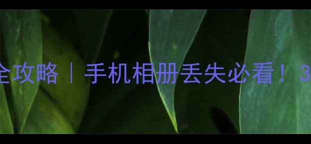 存储卡照片恢复全攻略手机相册丢失必看3步找回重要回忆