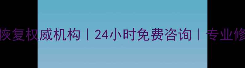 东平硬盘数据恢复权威机构24小时免费咨询专业修复企业个人数据