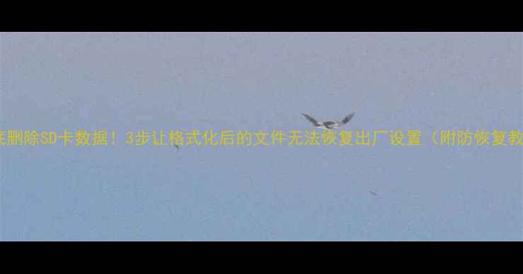图片 🔒彻底删除SD卡数据！3步让格式化后的文件无法恢复出厂设置（附防恢复教程）2